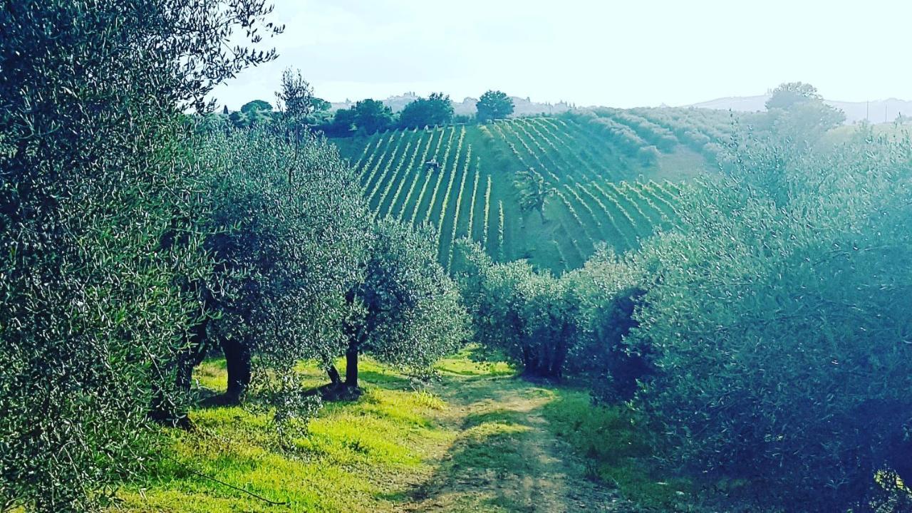 Agriturismo Sant'Ellero San Casciano in Val di Pesa Dış mekan fotoğraf